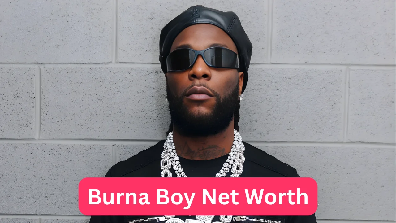 Burna Boy Net Worth
