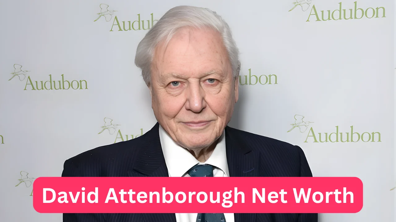David Attenborough Net Worth