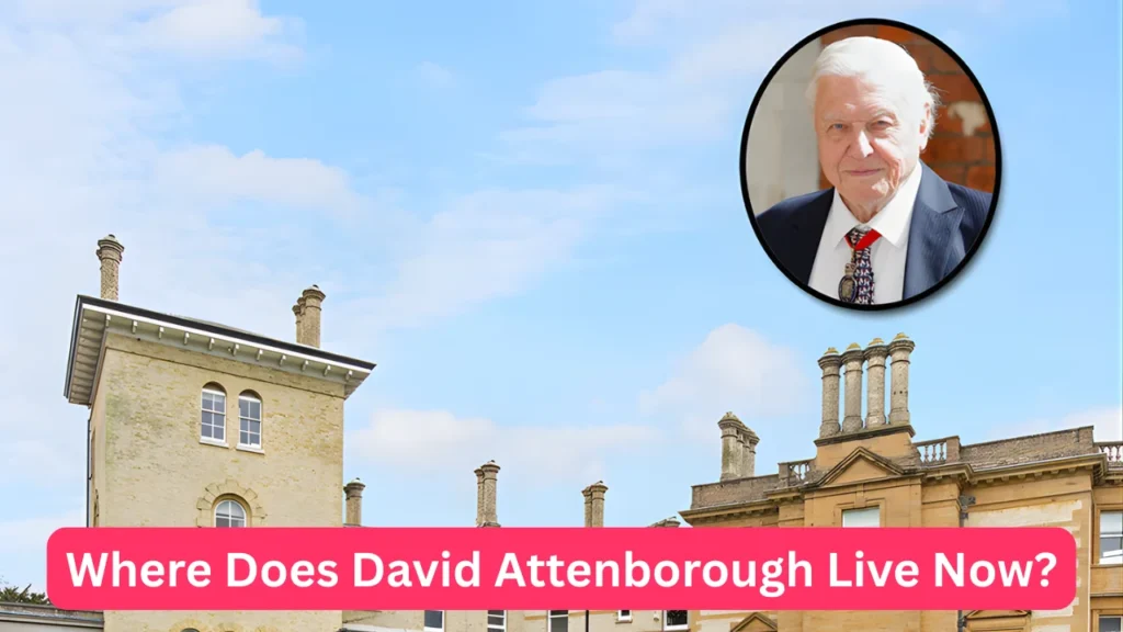 Where Does David Attenborough Live Now?