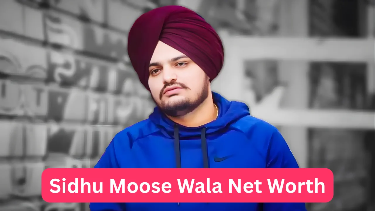 Sidhu Moose Wala Net Worth