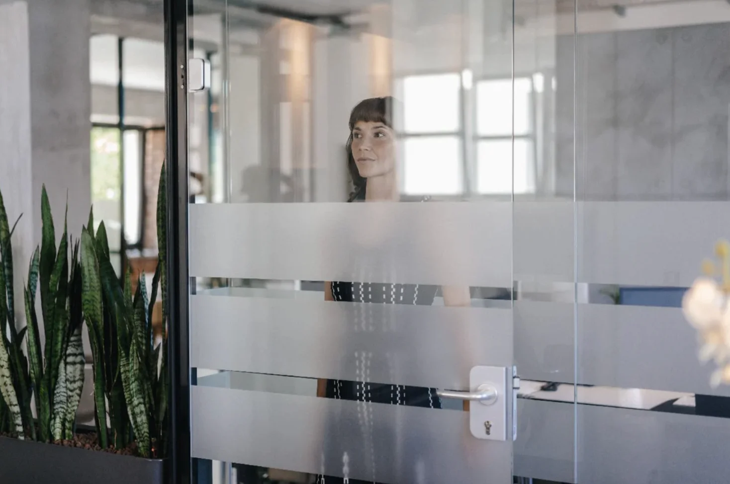 Choosing Frosted Effect Window Film