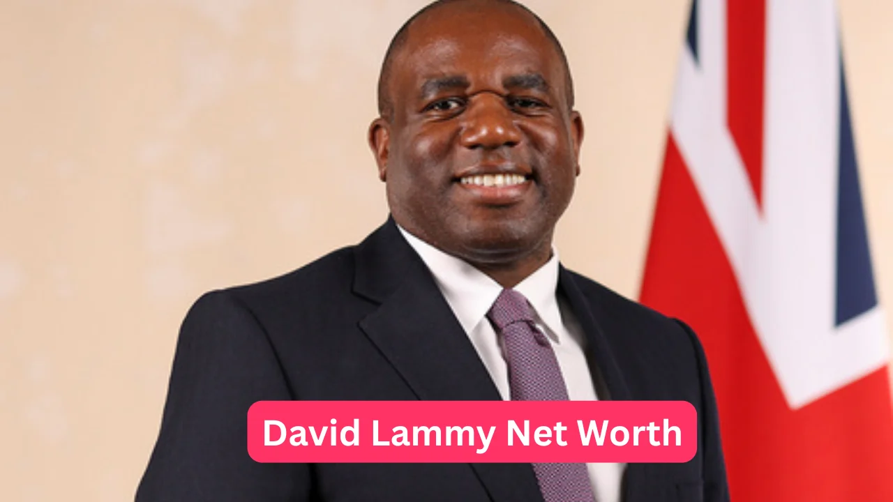 David Lammy Net Worth