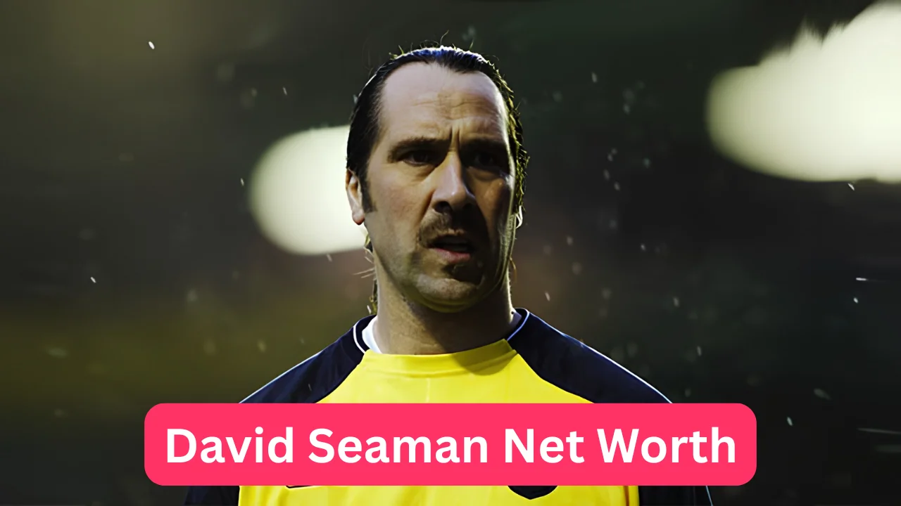 David Seaman Net Worth