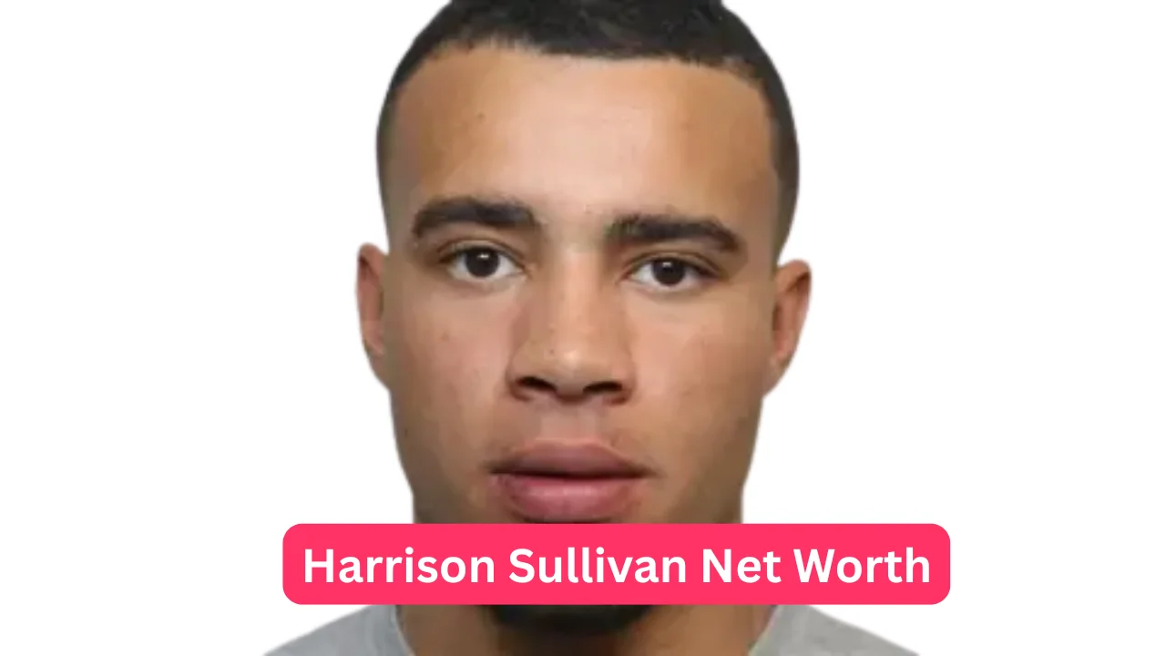 Harrison Sullivan Net Worth