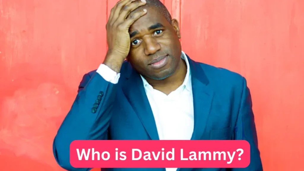 Who is David Lammy?